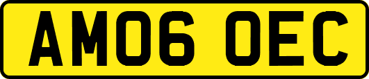 AM06OEC