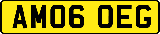 AM06OEG