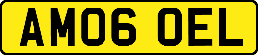 AM06OEL