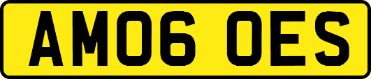 AM06OES