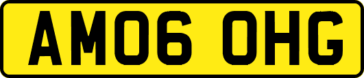AM06OHG