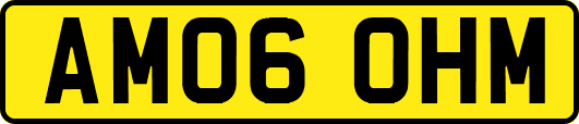 AM06OHM