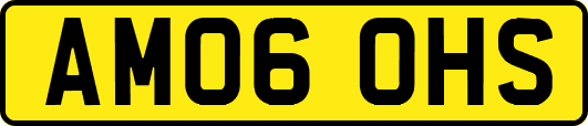 AM06OHS