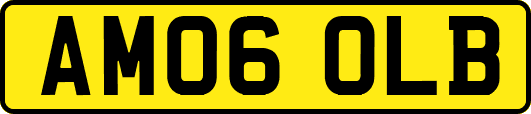 AM06OLB