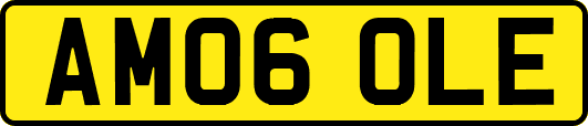 AM06OLE