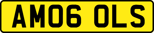 AM06OLS