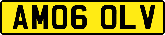 AM06OLV