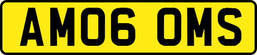 AM06OMS