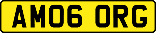 AM06ORG