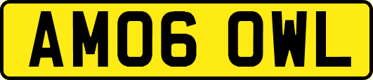 AM06OWL