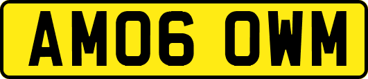 AM06OWM