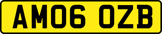 AM06OZB