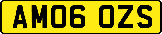 AM06OZS
