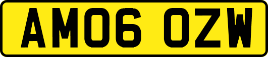 AM06OZW