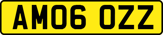 AM06OZZ