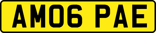 AM06PAE