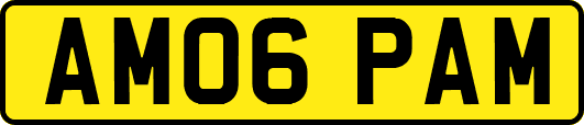AM06PAM