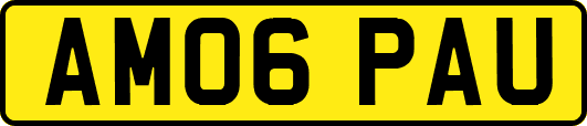 AM06PAU