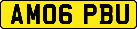 AM06PBU