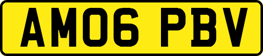 AM06PBV