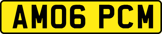 AM06PCM
