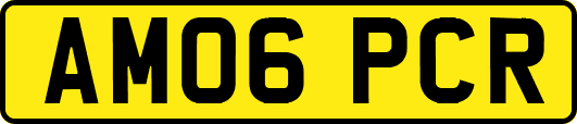 AM06PCR