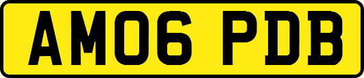 AM06PDB