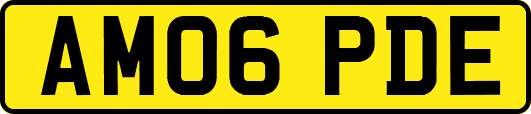 AM06PDE
