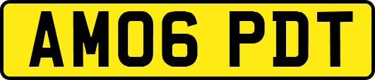 AM06PDT