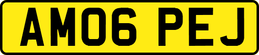 AM06PEJ