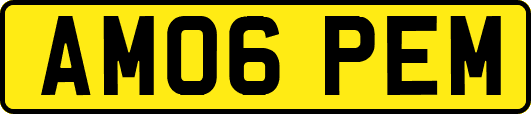 AM06PEM