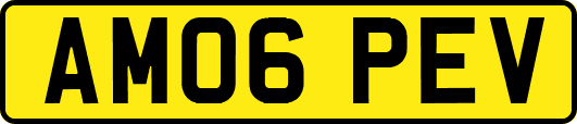 AM06PEV