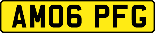 AM06PFG