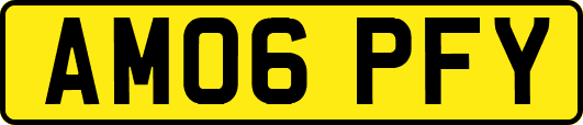 AM06PFY