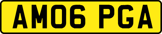 AM06PGA