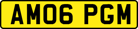 AM06PGM
