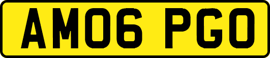 AM06PGO
