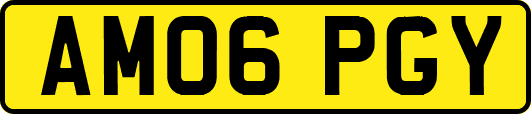 AM06PGY