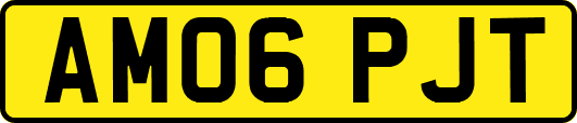 AM06PJT