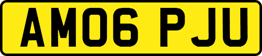 AM06PJU