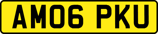 AM06PKU