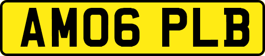 AM06PLB