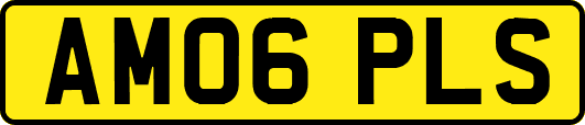 AM06PLS