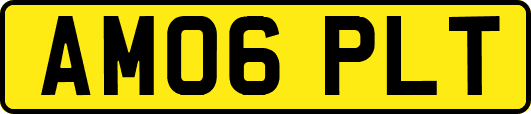 AM06PLT