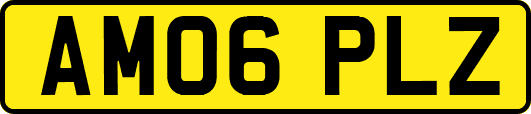 AM06PLZ