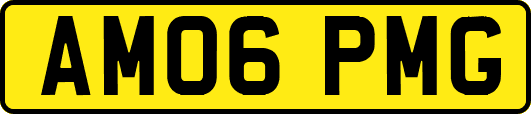 AM06PMG