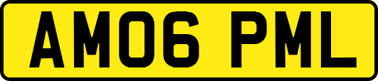 AM06PML