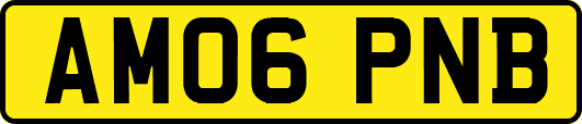 AM06PNB