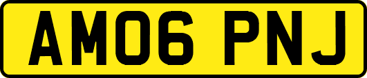 AM06PNJ