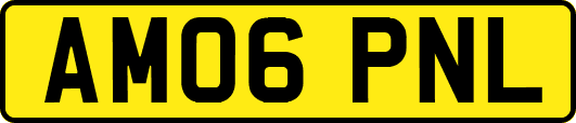 AM06PNL